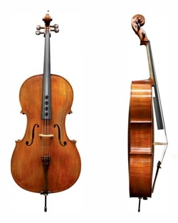 violoncello